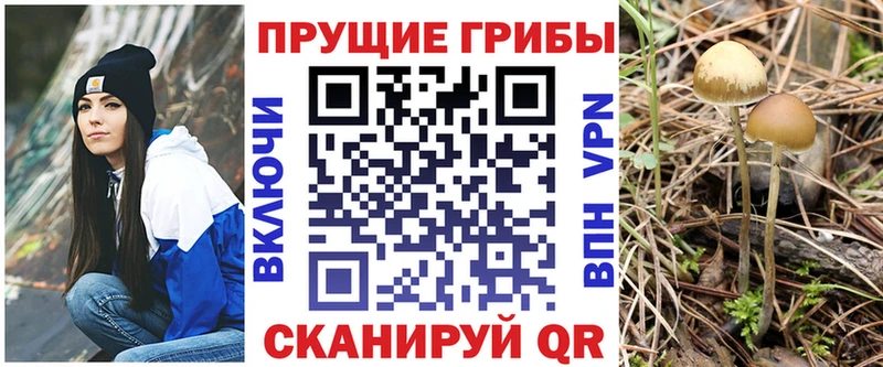 Псилоцибиновые грибы мицелий  Купить  Северская 
